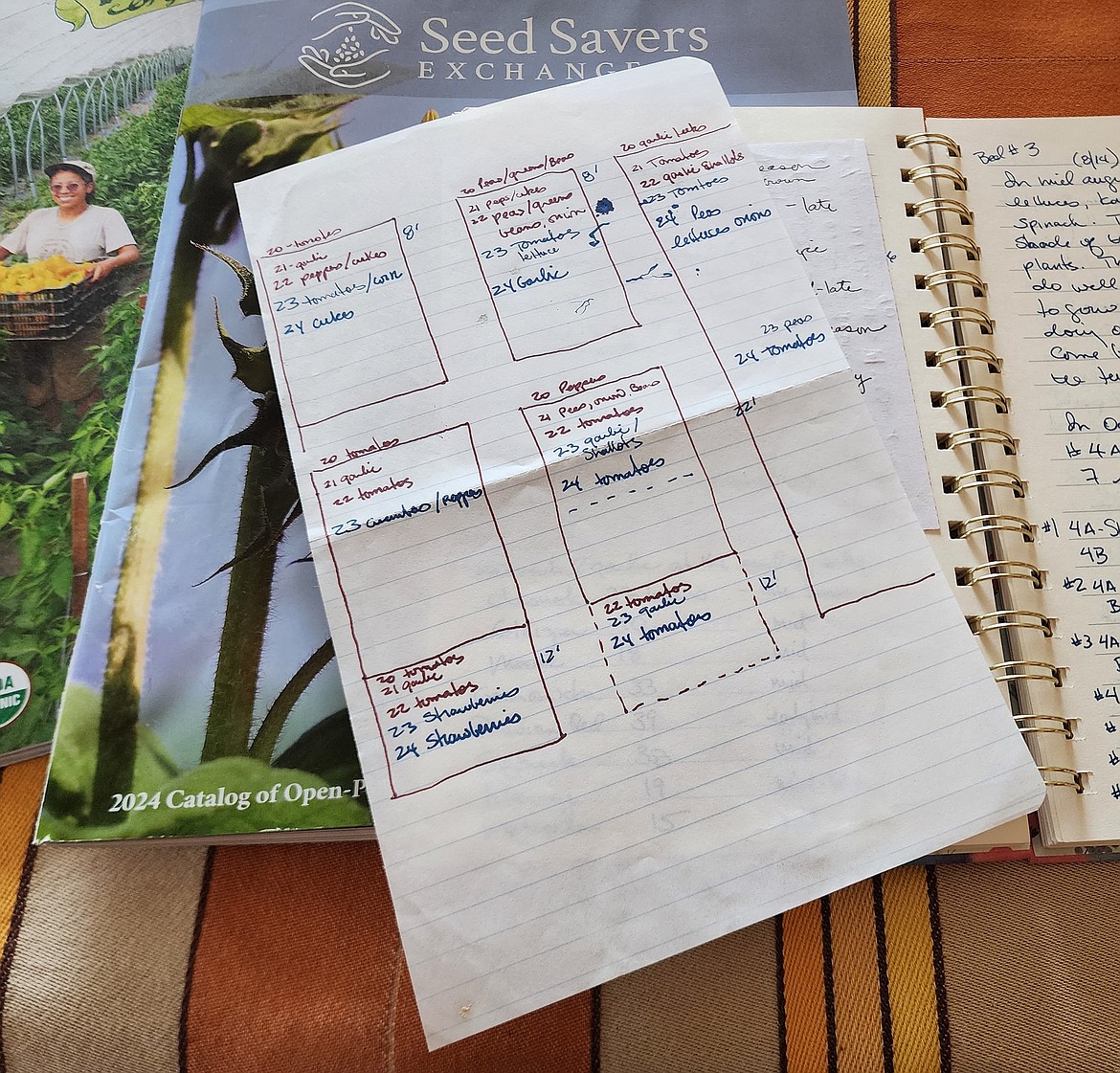 This simple sketch represents four years of crop rotation in my small garden. It helps me avoid planting the same crops in the same location year after year.