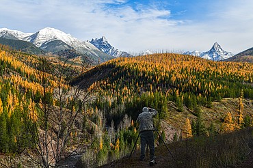 Kerry Nickou composes an autumn landscape above Coal Creek and the Middle Fork Flathead River with the snow-dusted peaks of Glacier National Park's Mount Doody, back left, and Mount Saint Nicholas, right, in view along U.S. Highway 2 on Wednesday, Oct. 23. (Casey Kreider/Daily Inter Lake)