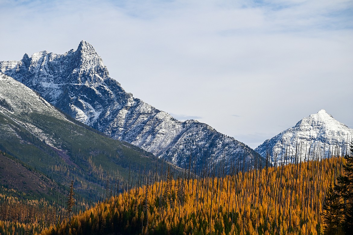 The snow-dusted peaks of Glacier National Park's Mount Doody, left, and Battlement Mountain behind a larch-covered hillside along U.S. Highway 2 on Wednesday, Oct. 23. (Casey Kreider/Daily Inter Lake)