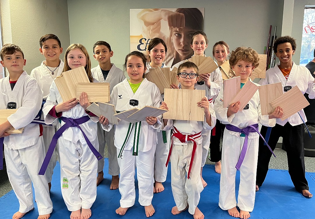 The following members of the Intermediate Class at Sandpoint Martial Arts aced their recent belt tests. Front row, from left are Charlie Manning (Purple Stripe Belt), Sabrina Funk (Purple Belt), Avery Benavides (Green Stripe Belt), Nick Sloan (Red Stripe Belt), Wylie Talbot (Purple Belt). Back row, from left are Arie Elvira (Blue Belt), Donovan Elvira (Blue Belt), Ellie Benavides (Green Stripe Belt), Delany Peterson (Red Stripe Belt), Eleanora Williams (Red Stripe Belt) and Fetira Allshouse (Blue Belt).