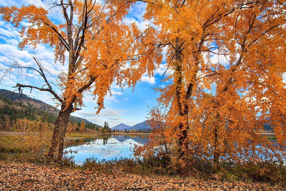 Orange leaves decorate trees around Killarney Lake.