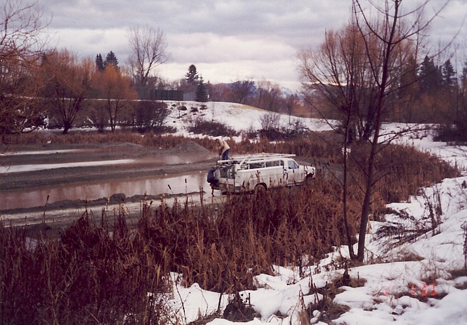 Riverside Pond dredged in 1995. This photo shows smaller willow trees. Additional willow trees have grown through vegetative propagation from those few parent trees in the past 29 years. (Photo provided by Whitefish Parks and Recreation)