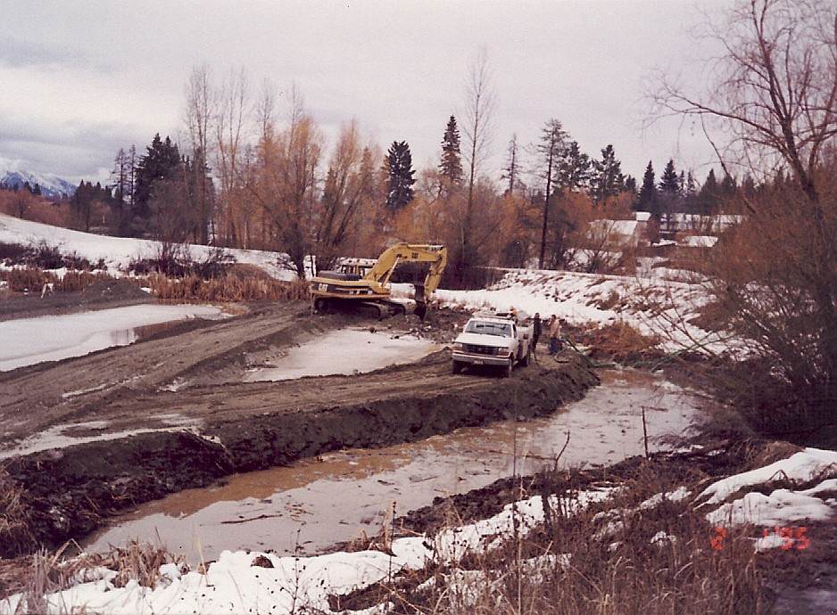 Riverside Pond dredged in 1995. This photo shows smaller willow trees. Additional willow trees have grown through vegetative propagation from those few parent trees in the past 29 years. (Photo provided by Whitefish Parks and Recreation)