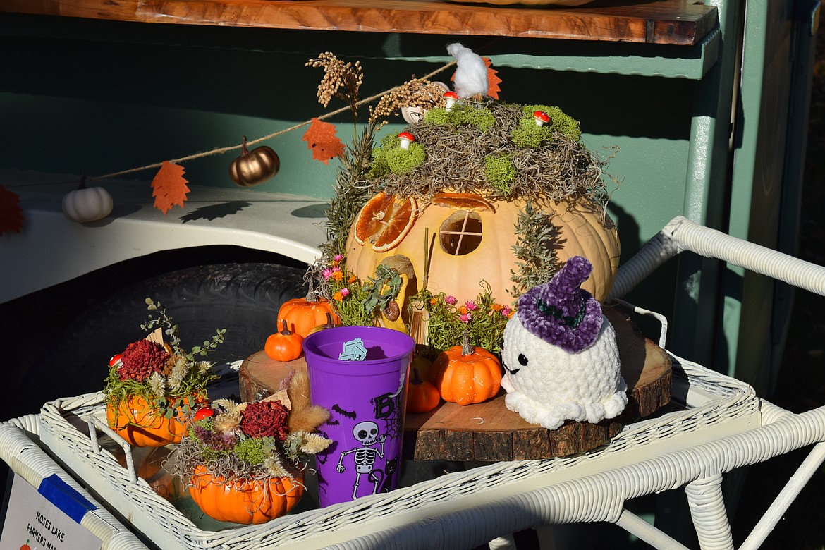 A Moses Lake Farmers Market stand was selling pumpkins filled with dried flowers and moss.