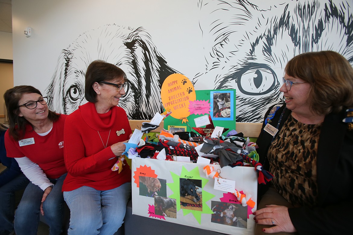 Companions Animal Center Development Director Vicky Nelson checks out handmade fleece dog toys delivered Friday to the nonprofit by Daughters of the American Revolution members for Animal Shelter Appreciation Week. From left: DAR Lt. George Farragut Chapter member Lynn Talbot, Nelson and DAR Regent Michelle Fansler.