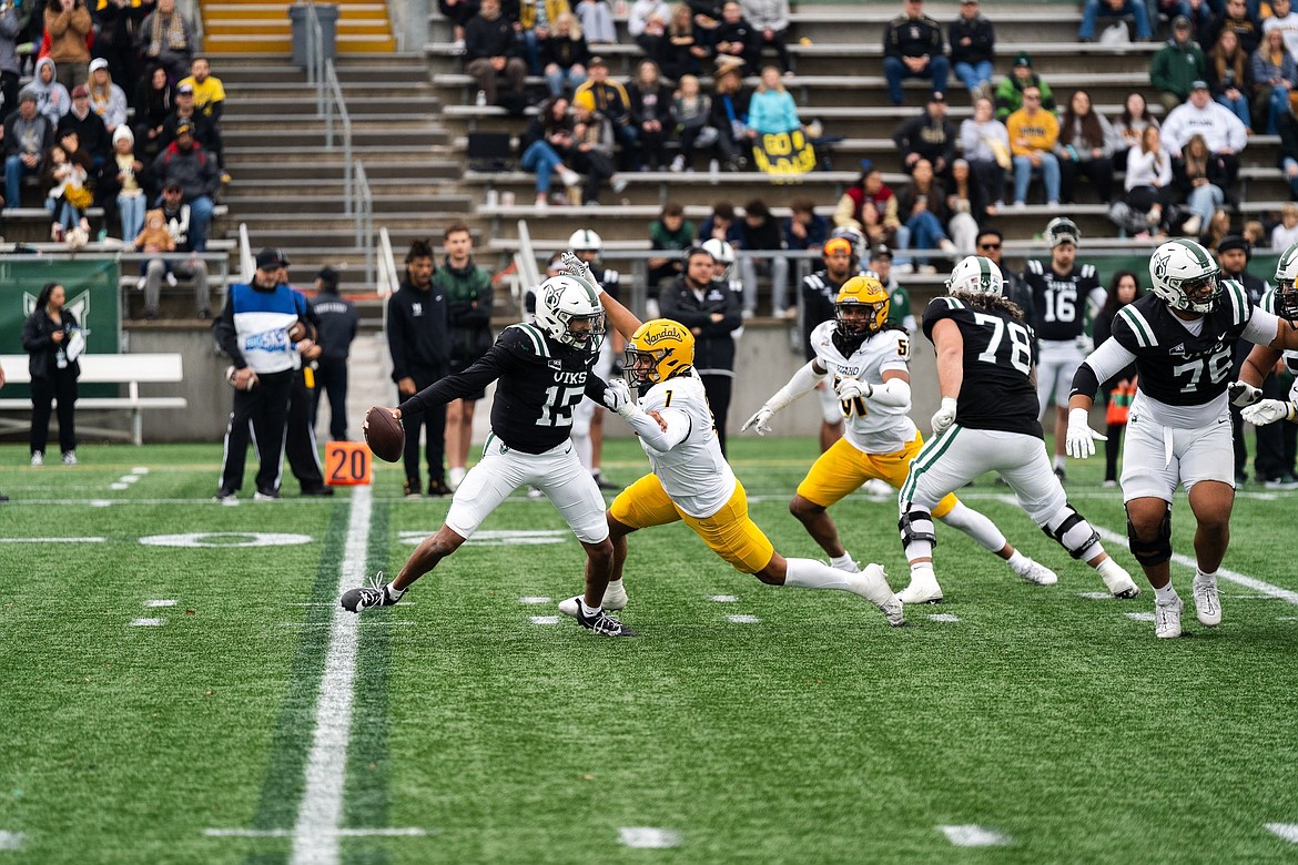 Photo by IDAHO ATHLETICS
Keyshawn James-Newby of Idaho applies pressure to Portland State quarterback Dante Chachere (15) on Saturday in Hillsboro, Ore.