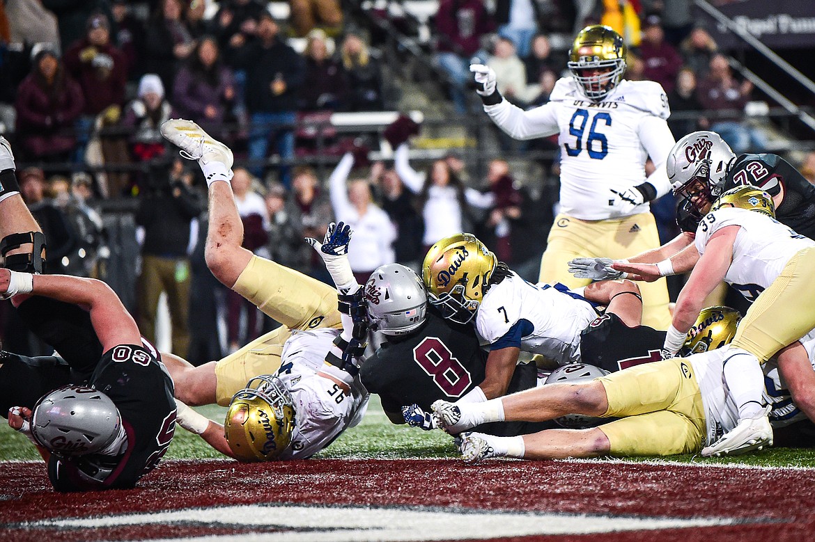 Grizzlies quarterback Keali'i Ah Yat (8) is tackled just short of the goal line on an 18-yard run in the third quarter against UC Davis at Washington-Grizzly Stadium on Saturday, Nov. 9. (Casey Kreider/Daily Inter Lake)