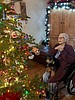 Myrna Bevacqua, 85