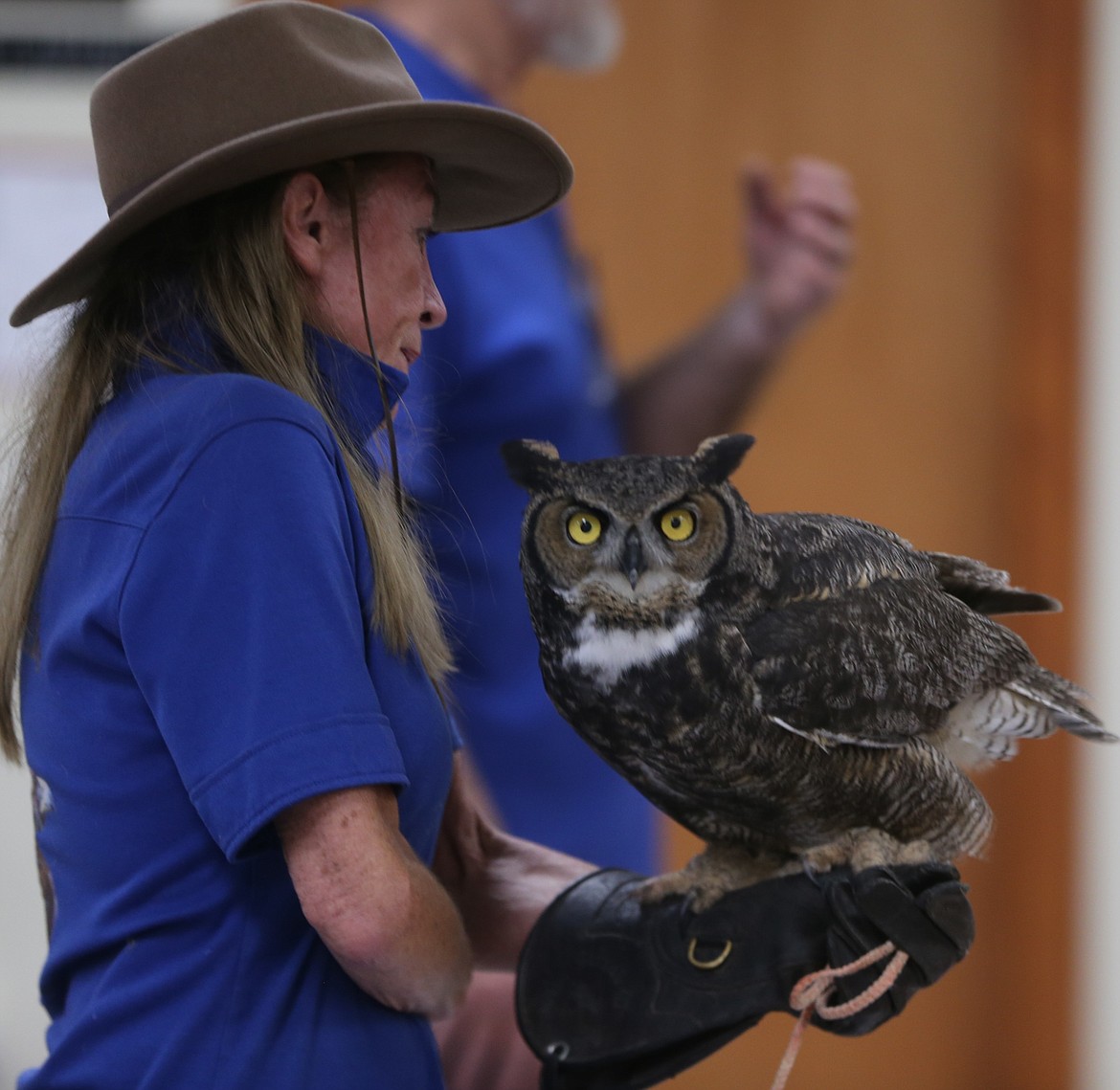 Great-horned owl Tigger turns his mighty head toward the camera at the sound of the shutter Friday as he sits atop Janie Veltkamp's arm.