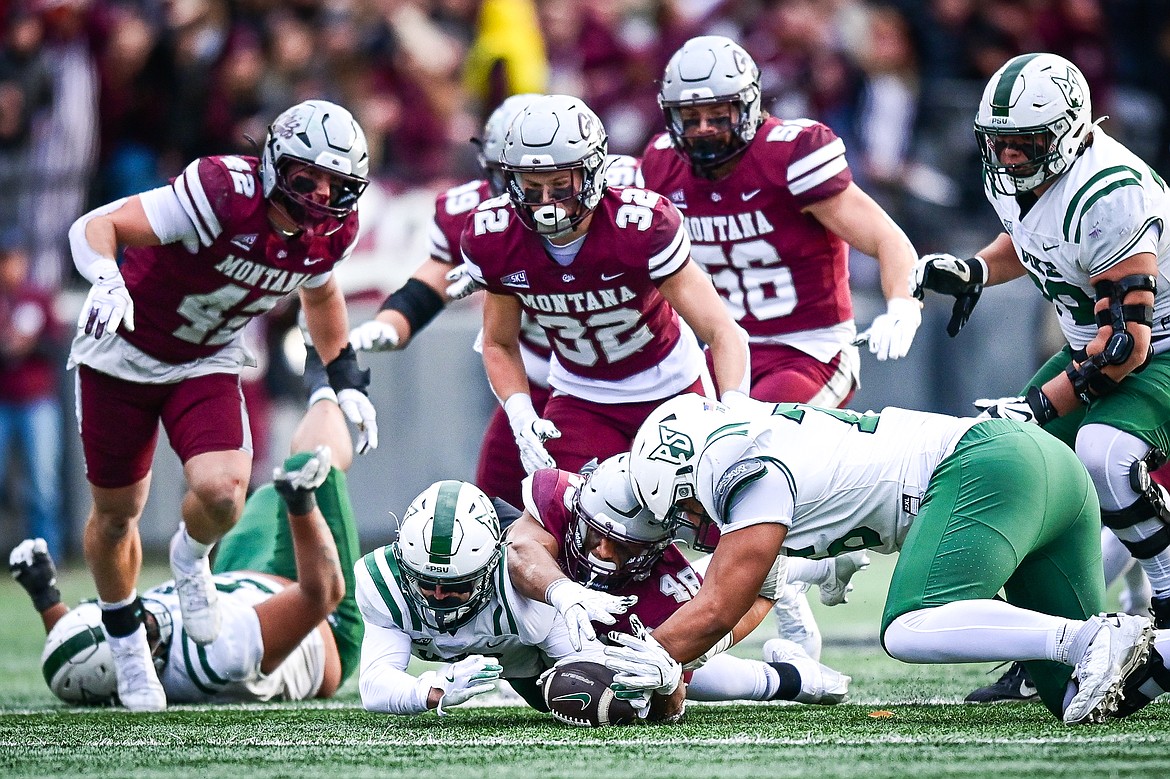 Grizzlies defensive end Hayden Harris (48) recovers a fumble by Portland State quarterback Dante Chachere in the fourth quarter at Washington-Grizzly Stadium on Saturday, Nov. 16. (Casey Kreider/Daily Inter Lake)