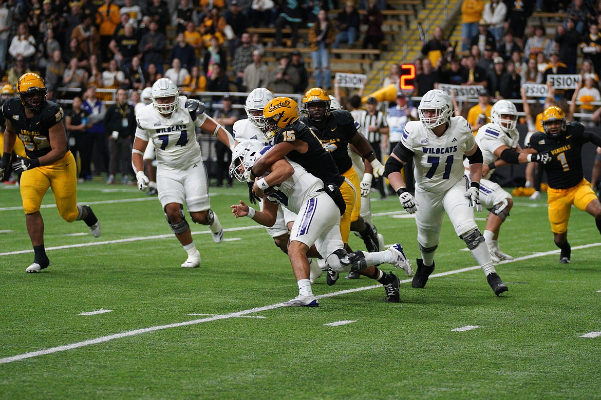 IDAHO ATHLETICS
Idaho redshirt junior defensive lineman Malakai Williams brings down Weber State quarterback Richie Munoz during Saturday's Big Sky Conference game at the Kibbie Dome in Moscow.