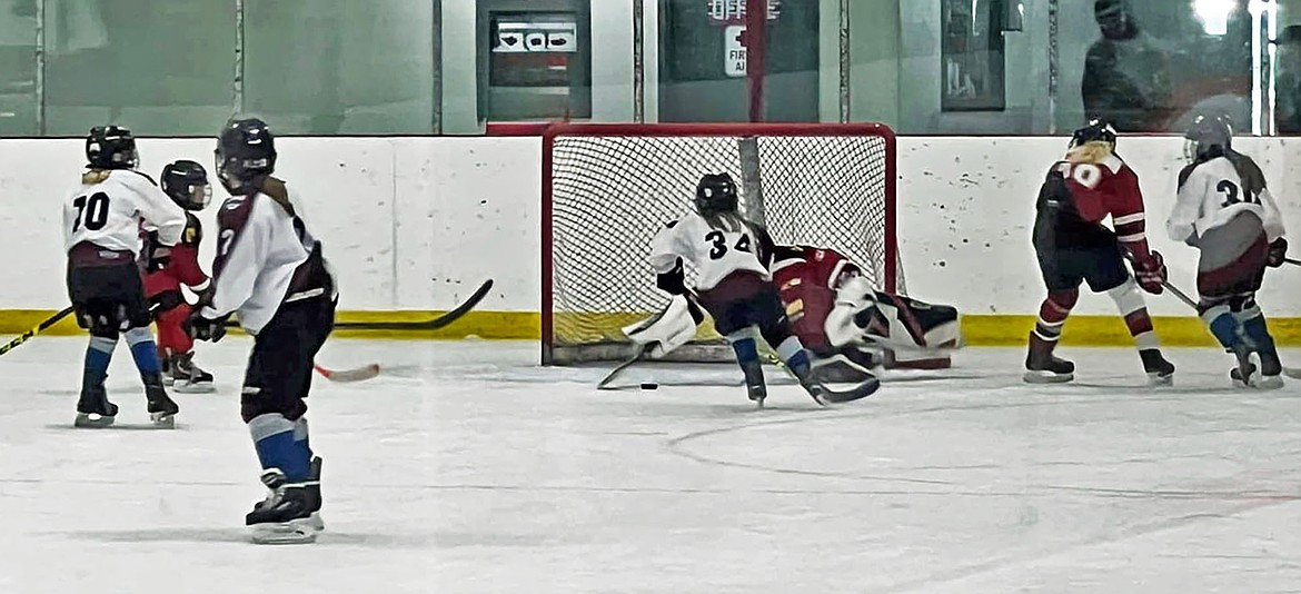 Whitefish's GHA U11 team went undefeated in the Canal Flats Tournament last weekend. (Photo provided)