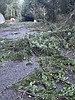 'Bomb cyclone' kills 2 and knocks out power to over half a million homes across the northwest US