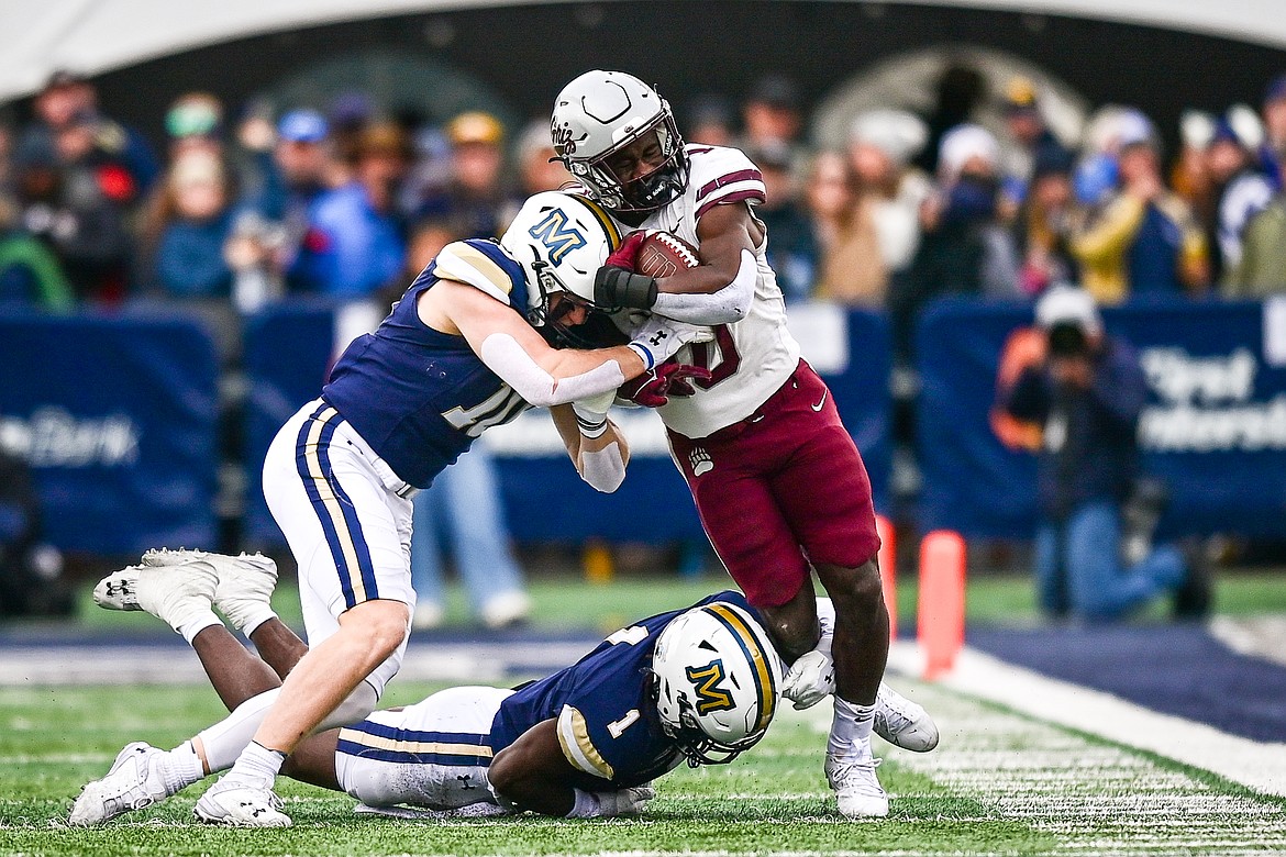 Grizzlies running back Eli Gillman (10) is hit by Bobcat defenders Bryce Grebe (10) and Andrew Powdrell (1) on a run in the second quarter during the 123rd Brawl of the Wild at Bobcat Stadium on Saturday, Nov. 23. (Casey Kreider/Daily Inter Lake)