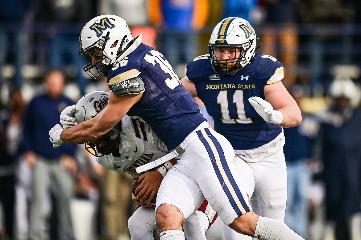 Bobcat defenders Zac Crews (36) and Kenneth Eiden IV (11) sack Grizzlies quarterback Logan Fife (12) in the second quarter during the 123rd Brawl of the Wild at Bobcat Stadium on Saturday, Nov. 23. (Casey Kreider/Daily Inter Lake)