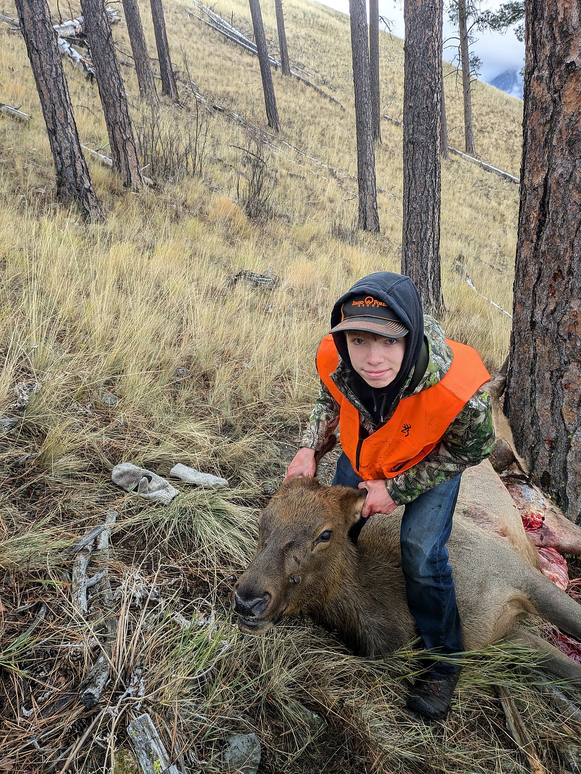 Nicholas Cooper, age 14, filled his cow tag and then his general elk tag with a bull in a matter of minutes in Mineral County.