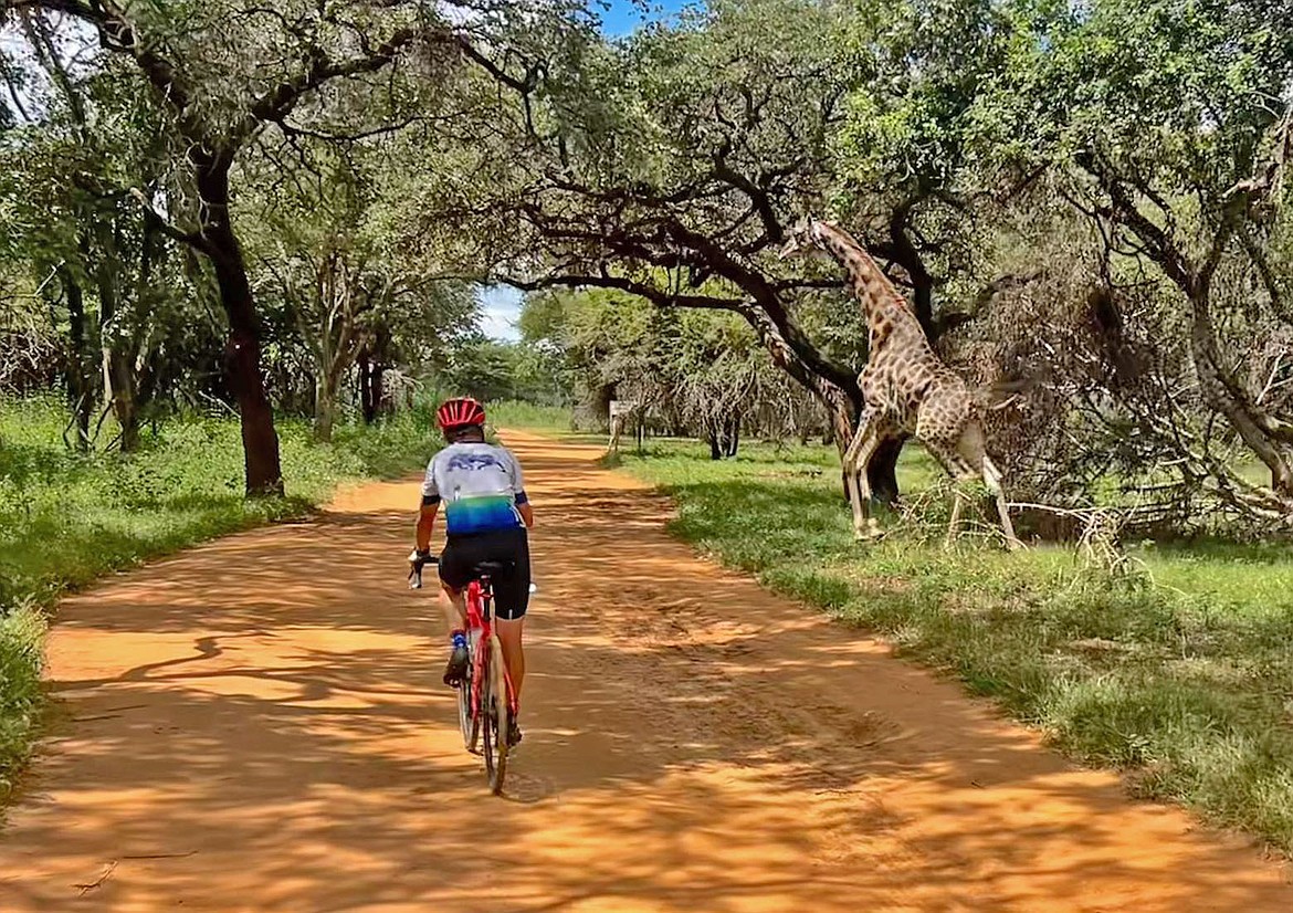 Heading into camp where giraffes were roaming in Zambia. (Photo by a group rider)