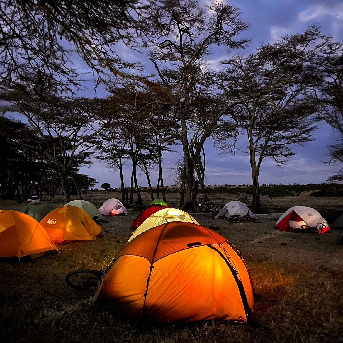 Evening in Bush Camp in Kenya. (Photo by Justene Wilke)