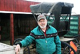 Real horsepower: Kalispell man drives horse and buggy around town