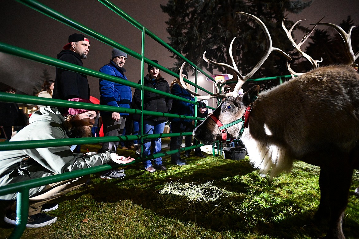 Visitors check out two reindeer outside Johnson-Gloschat Funeral Home and Crematory at the Downtown Holiday Stroll & Tree Lighting Ceremony on Friday, Dec. 6. (Casey Kreider/Daily Inter Lake)