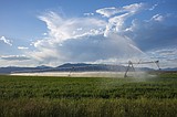 Living Latest 2024 farm income forecast shows overall decrease from 2023