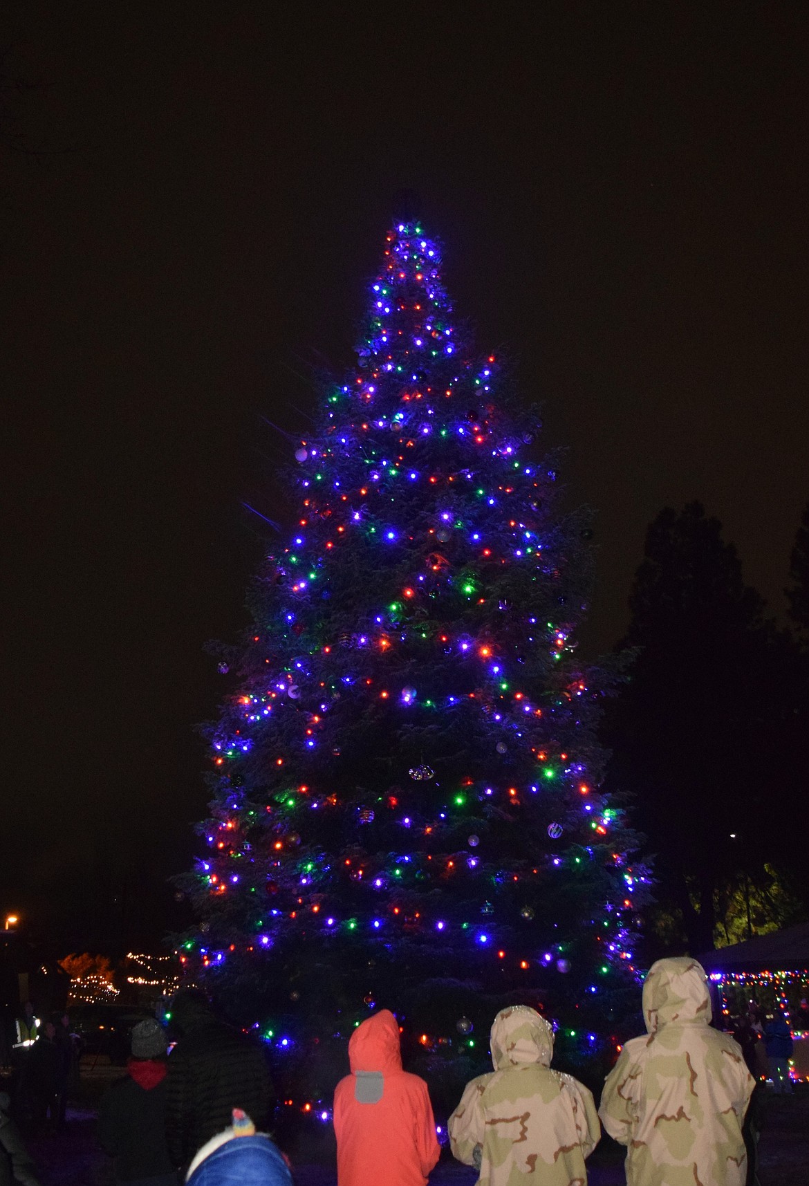 The Christmas tree next to Hayden City Hall was a sight to behold following the lighting ceremony Saturday night.