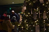 Hope shines at HONI Tree Lighting Ceremony