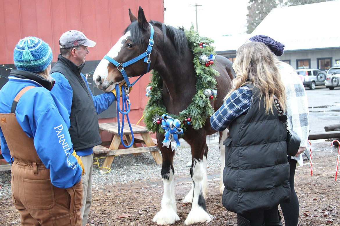 Dianna and Todd Radermacher stand by Missy, as two fans admire the Parnell Ranch's Clydesdale at Saturday's SantaCon event.