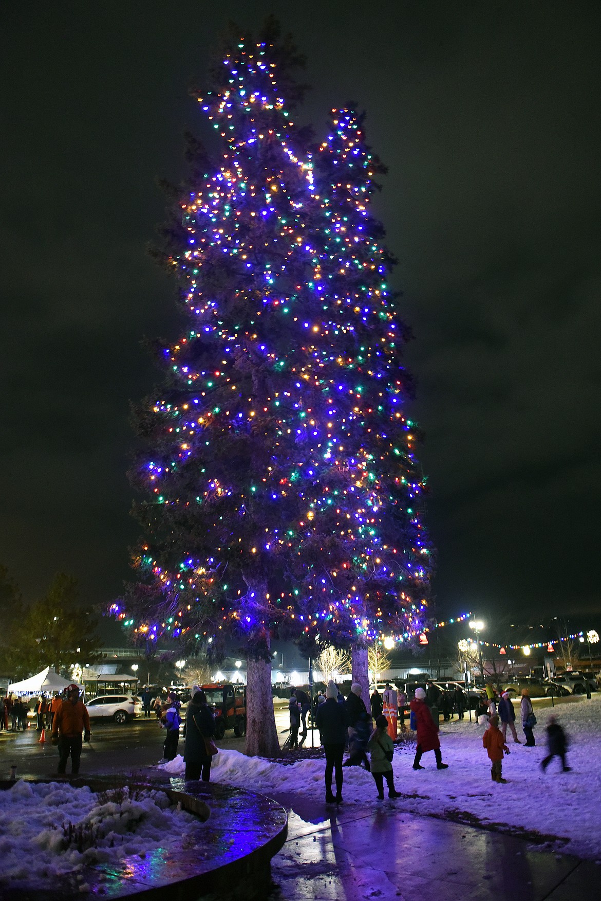 The Christmas Stroll trees are lit and snowball fights have commenced underneath. (Kelsey Evans/Whitefish Pilot)