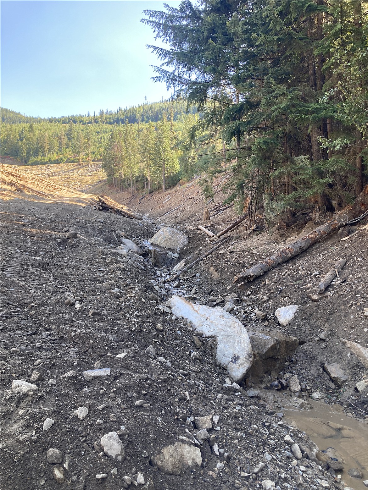 The East Fork of Ninemile Creek near the Tamarack Mine Complex. The creek bed used to run beneath a pile of mine waste that was recently cleaned up.