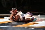 Tiger wrestling falls to Grandview
