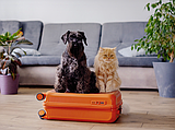 PET TALK: Should they stay or should they go?
