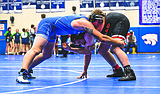 Grapplers down Polson