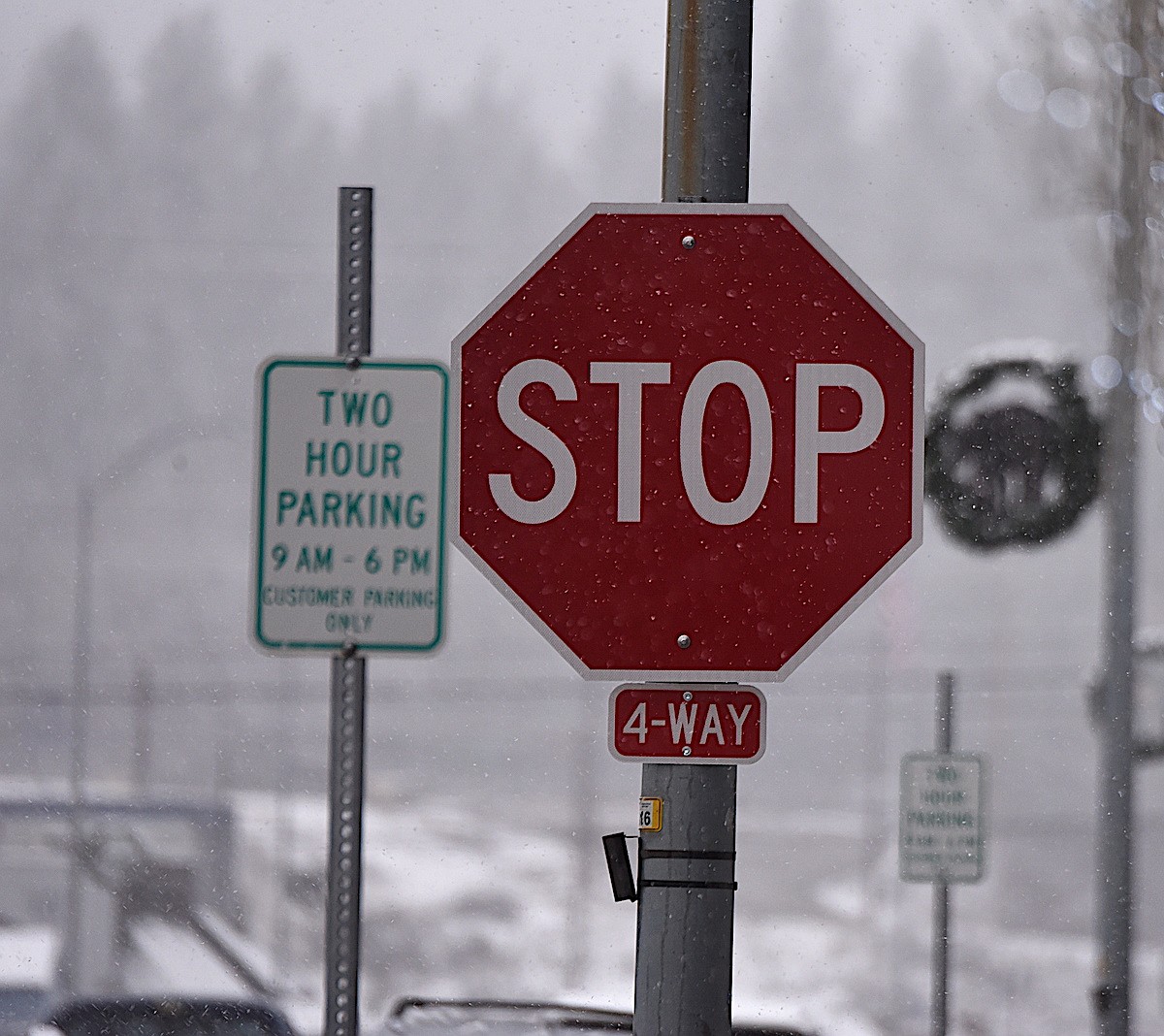 City workers place new stop signs on Mineral Avenue | Western News