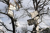 Tornadoes in Texas and Mississippi kill 2 and injure 6 as severe weather system moves east