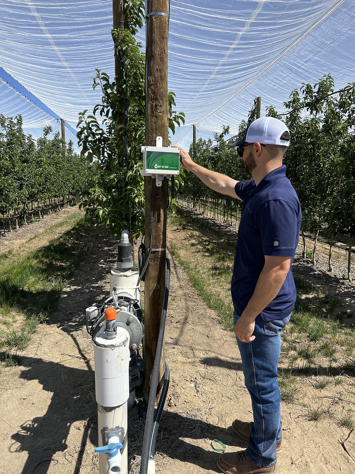 A participant sets irrigation controls in the test orchard, called the Smart Orchard, under study by Washington State University. Lessons from the orchard were the subject of a discussion Dec. 11 at the Washington State Tree Fruit Association annual meeting.