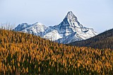 Challenges ahead as Glacier unveils new vehicle management system, foreign-visitor fees and construction projects in 2026