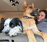 GCAO animal adoptions double in 2024