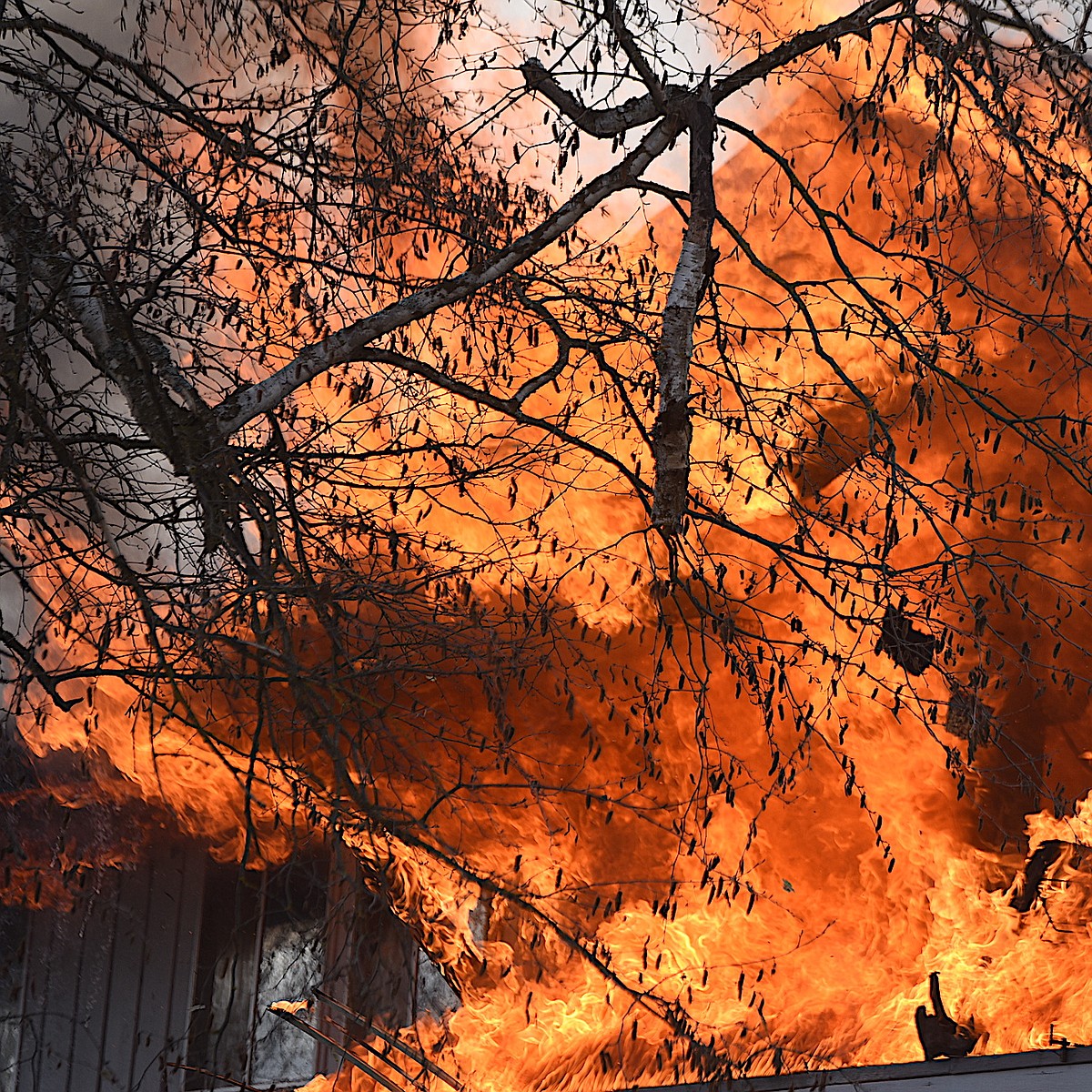 Libby apartment complex heavily damaged in fire | Western News