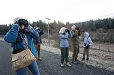 Birders brave warm winter weather during Coeur d'Alene's monthly Mica Bay Survey