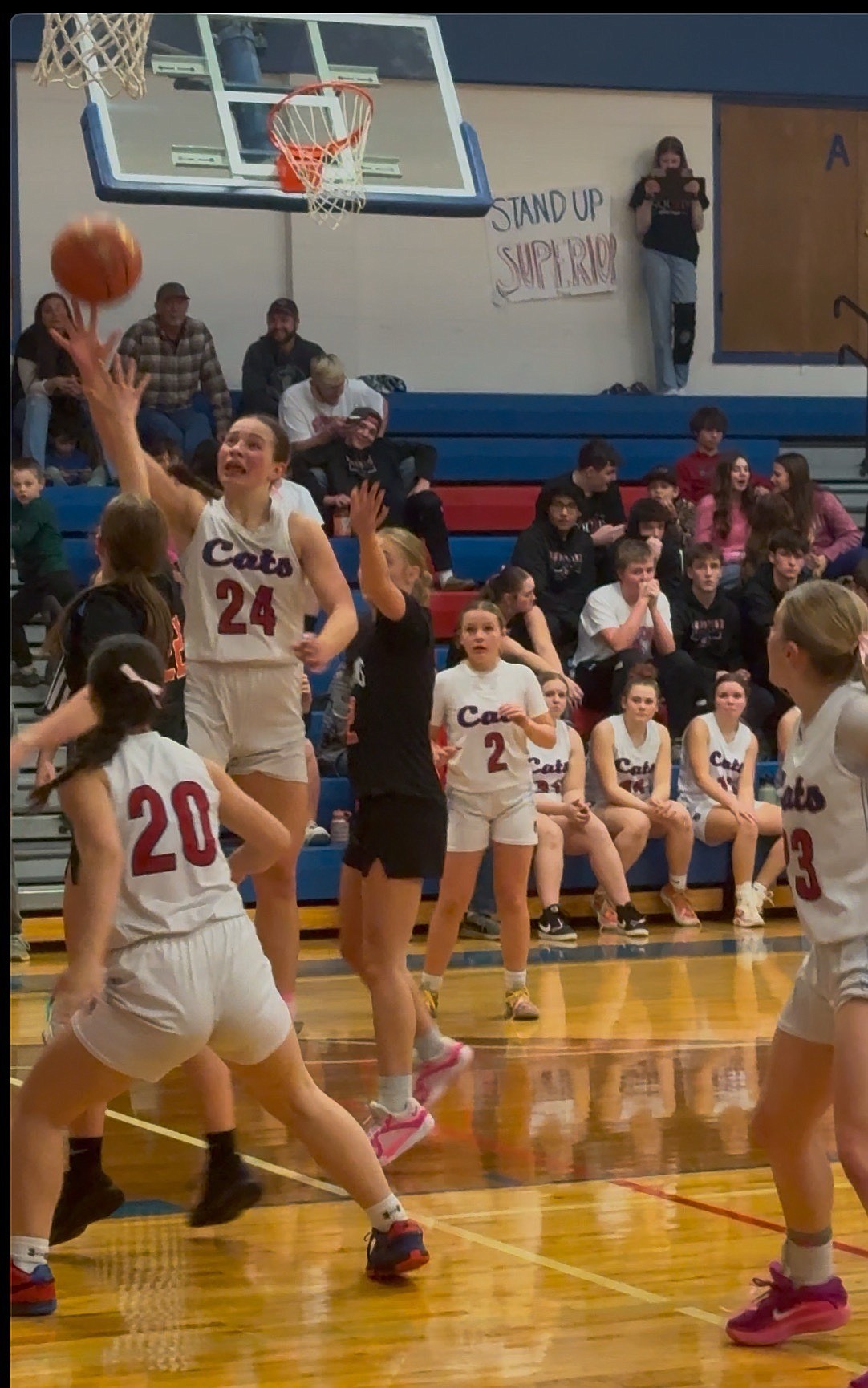 Superior senior Braelynn Mangold (24) goes up for two points against Plains during their game last week in Superior. (Superior staff courtesy photo)