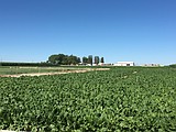 University of Idaho-led program opens second round of producer applications