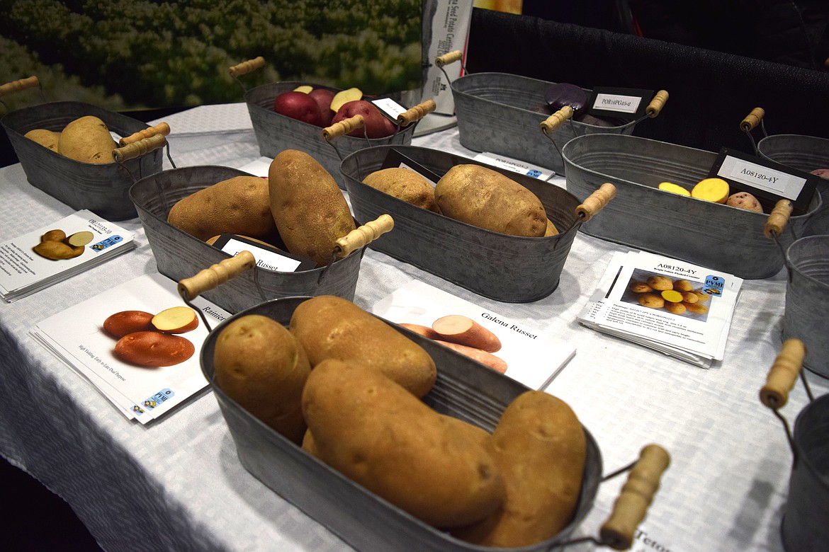 Varieties of potatoes on display at the 2023 Washington-Oregon Potato Conference.