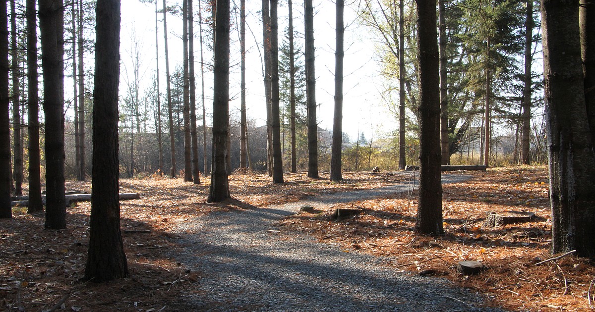 'Rewilding' the schoolyard - District, land trust make space for outdoor learning