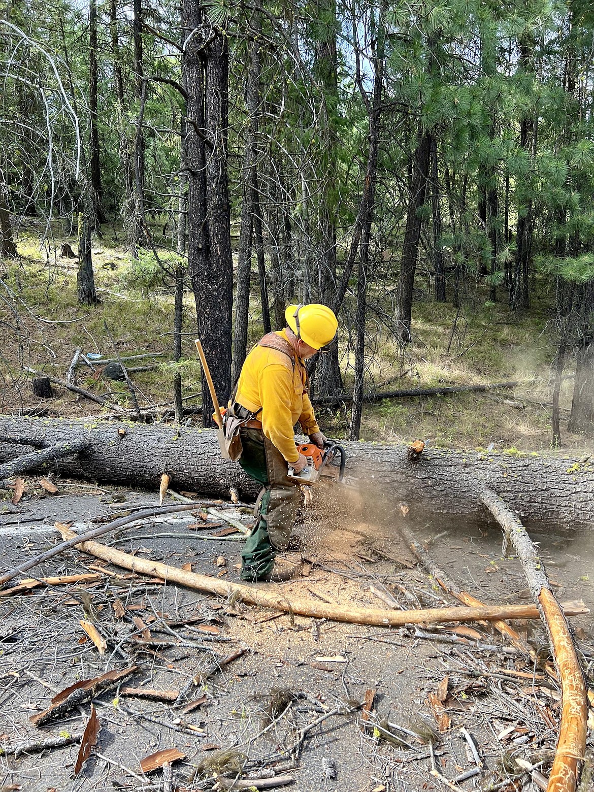 A firefighter clears fuel from the Retreat Fire last September. The fire was one of the largest in Washington during the 2024 wildfire season and Rep. Tom Dent, R-Moses Lake, is trying to find ways to strengthen the initial attack on fires throughout Washington to prevent the damage they cause. The Retreat Fire burned more than 45,000 acres.
