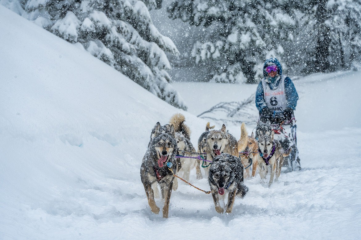 Liz Nevills of Middleton and her team compete in the Idaho Sled Dog Challenge.