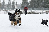 'It's about time': Coeur d'Alene embraces snowfall after slow start to winter