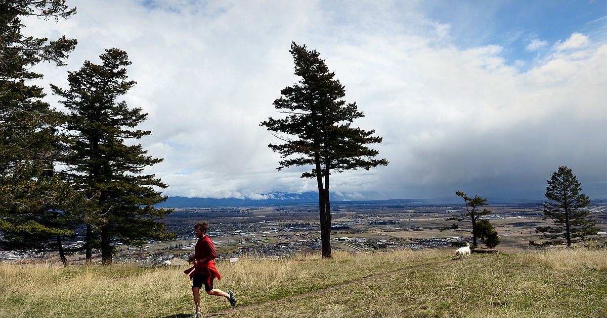 Thinning project underway at Lone Pine State Park