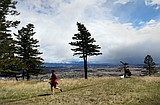 Thinning project underway at Lone Pine State Park