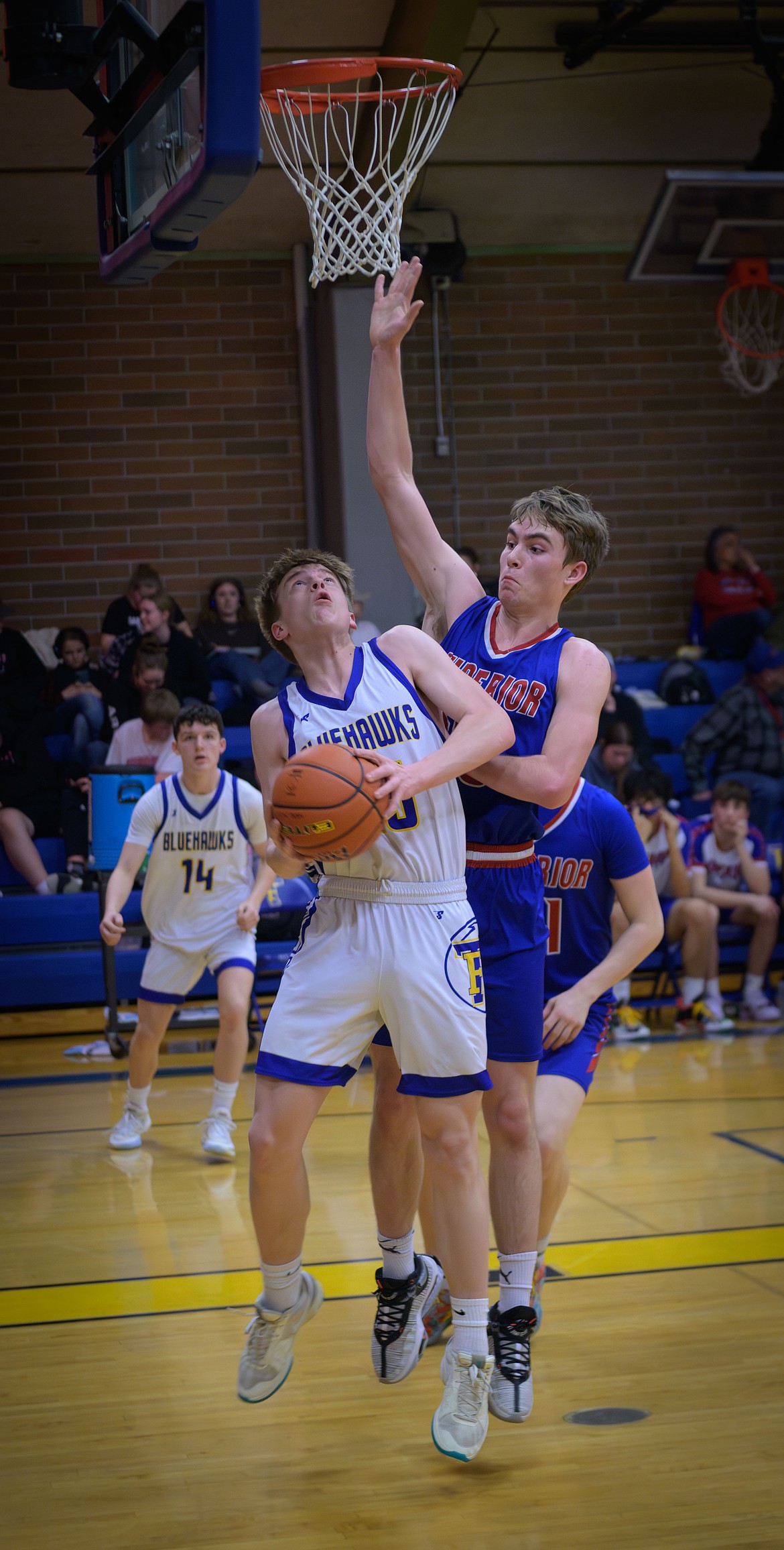 Thompson Falls' Ethan Burgess (white) tries to get a shot over the outstretched hands of Superior's Logan Merrill during their game Saturday in Thompson Falls.  (Tracy Scott, Valley Press)